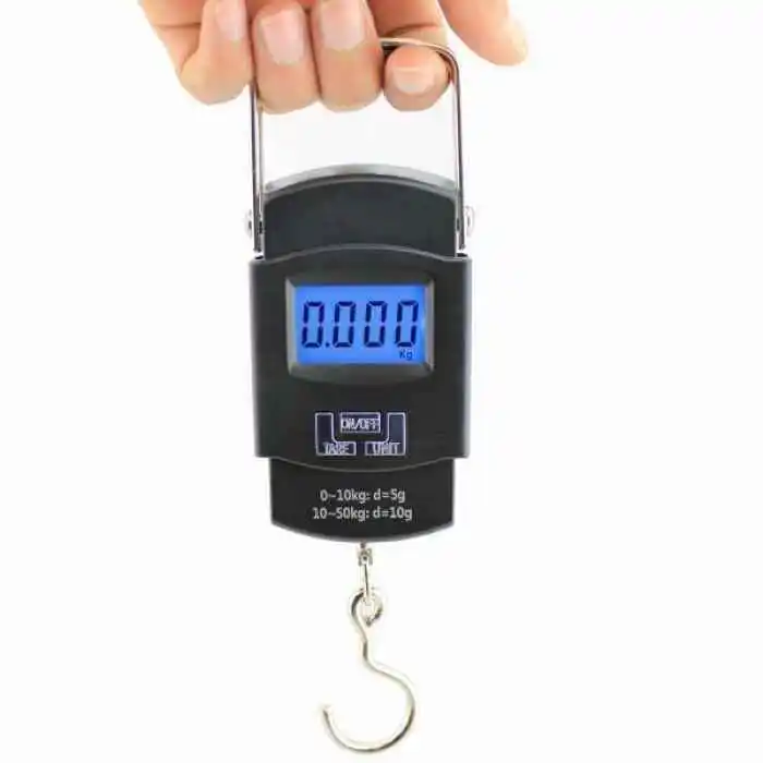 Portable electronic scale